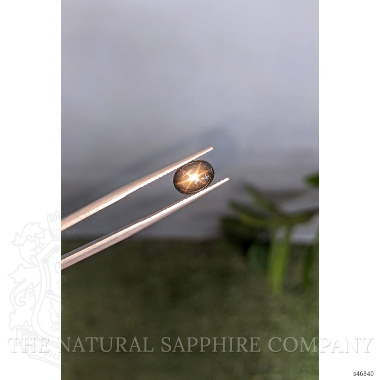 2.43 Ct. Black Star Sapphire from Ceylon (Sri Lanka)