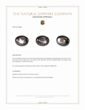 2.96 Ct. Black Star Sapphire from Ceylon (Sri Lanka) Appraisal