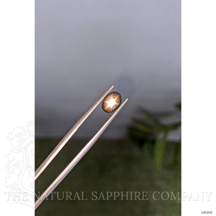 2.96 Ct. Black Star Sapphire from Ceylon (Sri Lanka)