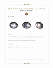 2.90 Ct. Black Star Sapphire from Ceylon (Sri Lanka) Appraisal