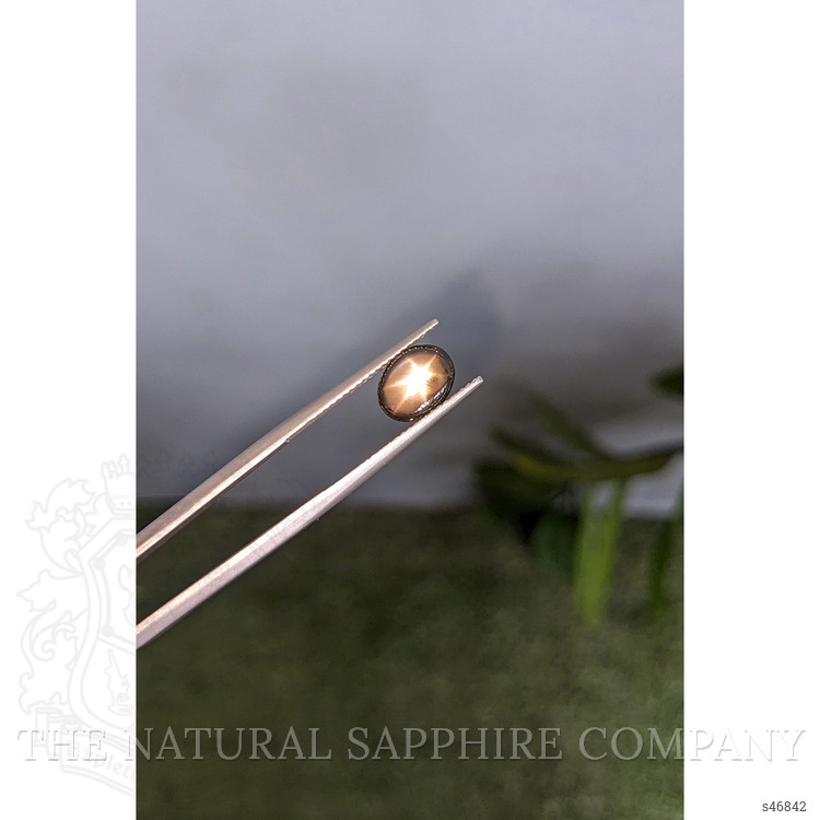 2.90 Ct. Black Star Sapphire from Ceylon (Sri Lanka)