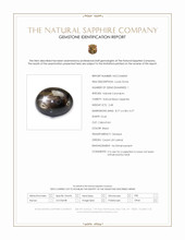 2.48 Ct. Black Star Sapphire from Ceylon (Sri Lanka) Scan Report