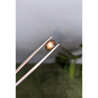 2.48 Ct. Black Star Sapphire from Ceylon (Sri Lanka) Life Style