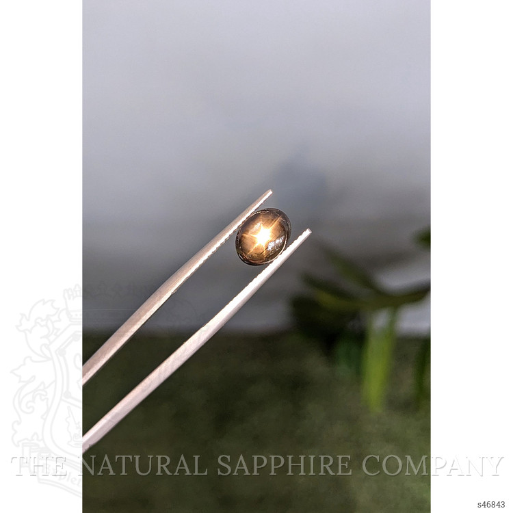 2.48 Ct. Black Star Sapphire from Ceylon (Sri Lanka)