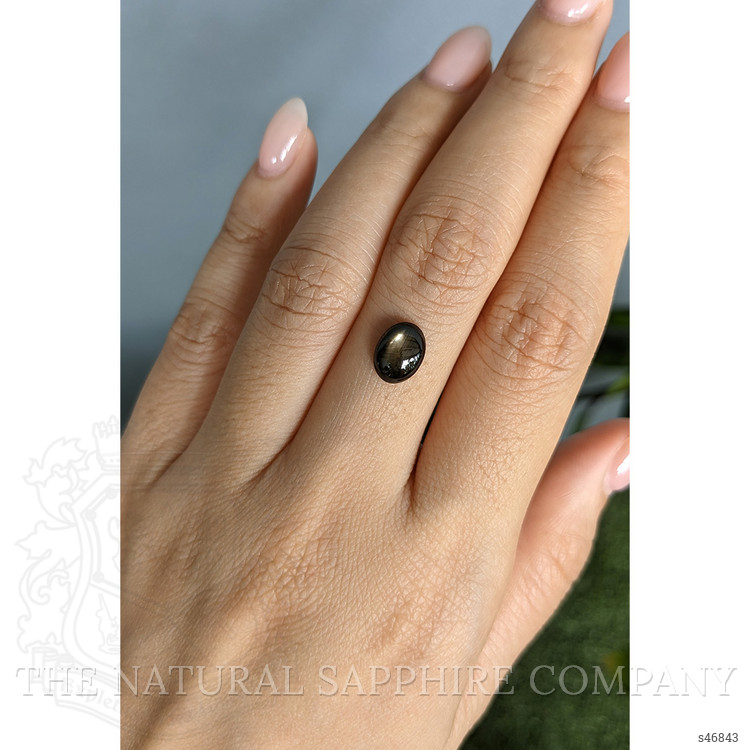 2.48 Ct. Black Star Sapphire from Ceylon (Sri Lanka)