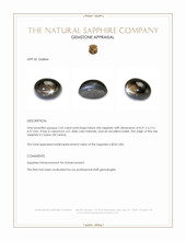 2.55 Ct. Black Star Sapphire from Ceylon (Sri Lanka) Appraisal