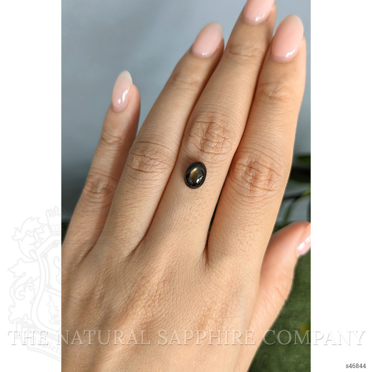 2.55 Ct. Black Star Sapphire from Ceylon (Sri Lanka)