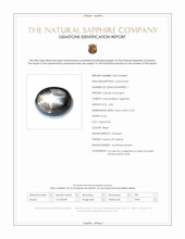2.84 Ct. Black Star Sapphire from Ceylon (Sri Lanka) Scan Report