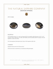 3.21 Ct. Black Star Sapphire from Ceylon (Sri Lanka) Appraisal