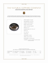 3.21 Ct. Black Star Sapphire from Ceylon (Sri Lanka) Scan Report