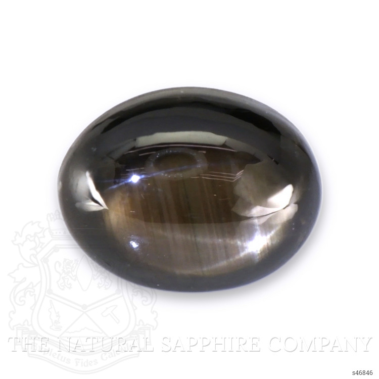 3.21 Ct. Black Star Sapphire from Ceylon (Sri Lanka)