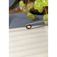 3.21 Ct. Black Star Sapphire from Ceylon (Sri Lanka) Life Style
