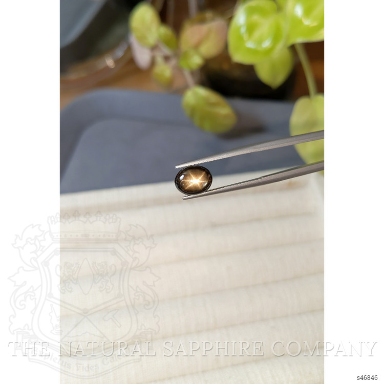 3.21 Ct. Black Star Sapphire from Ceylon (Sri Lanka)