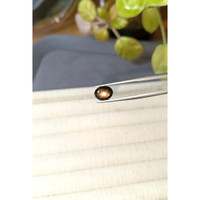 2.36 Ct. Black Star Sapphire from Ceylon (Sri Lanka) Life Style