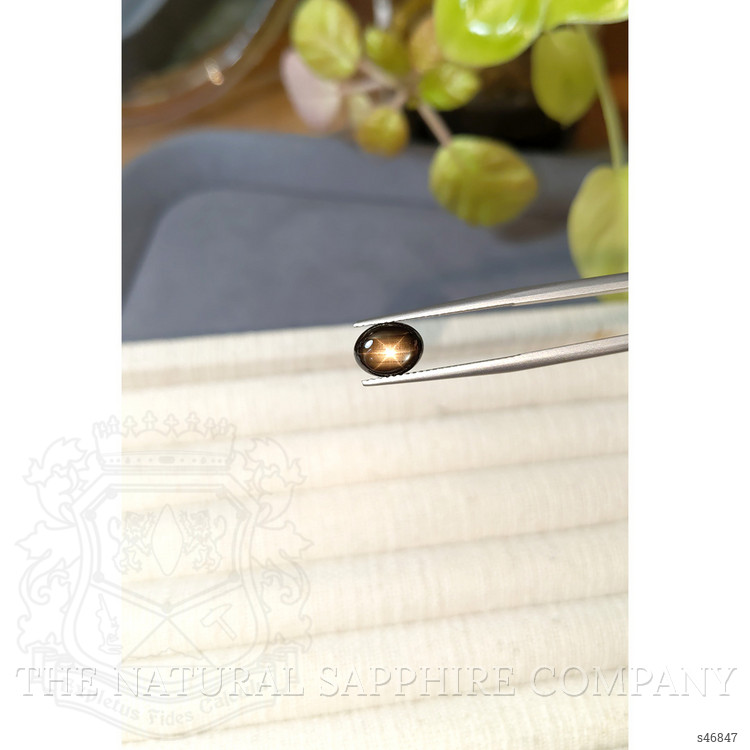 2.36 Ct. Black Star Sapphire from Ceylon (Sri Lanka)