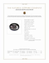 3.29 Ct. Black Star Sapphire from Ceylon (Sri Lanka) Scan Report