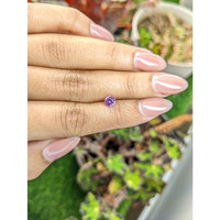 0.67 Ct. Pink Sapphire from Ceylon (Sri Lanka) Life Style