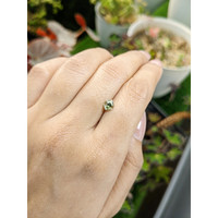 0.74 Ct. Yellowish Green Sapphire from Ceylon (Sri Lanka) Life Style