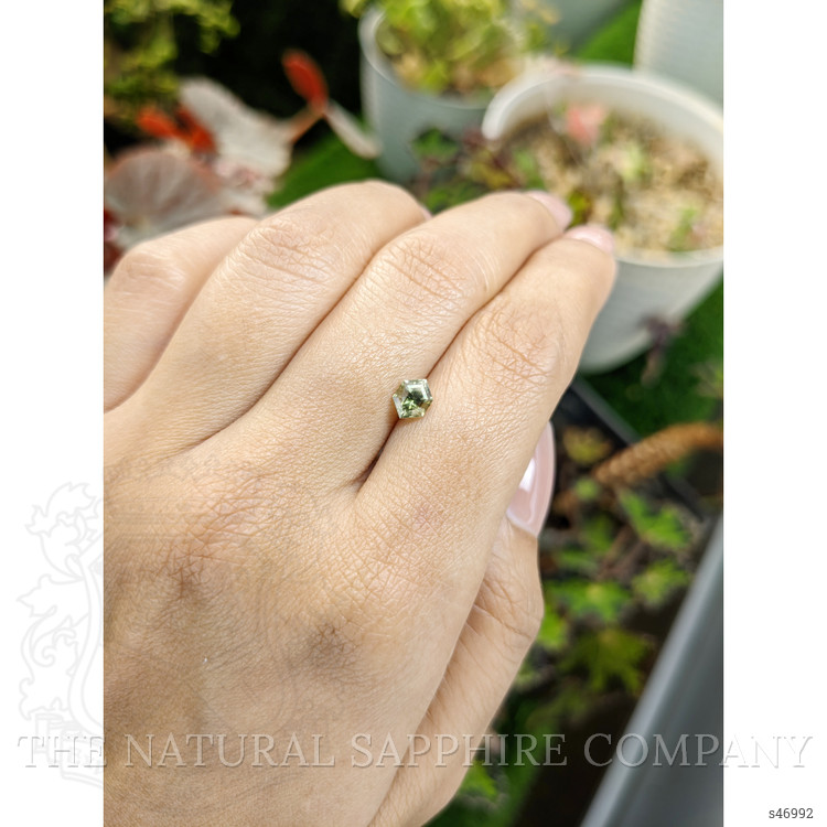 0.74 Ct. Yellowish Green Sapphire from Ceylon (Sri Lanka)