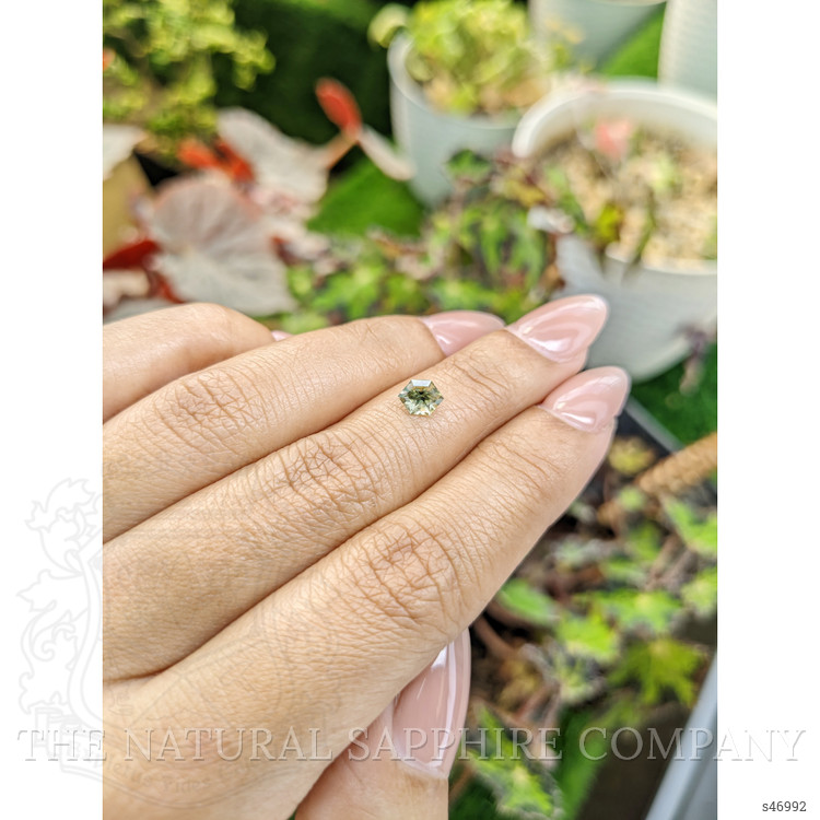 0.74 Ct. Yellowish Green Sapphire from Ceylon (Sri Lanka)