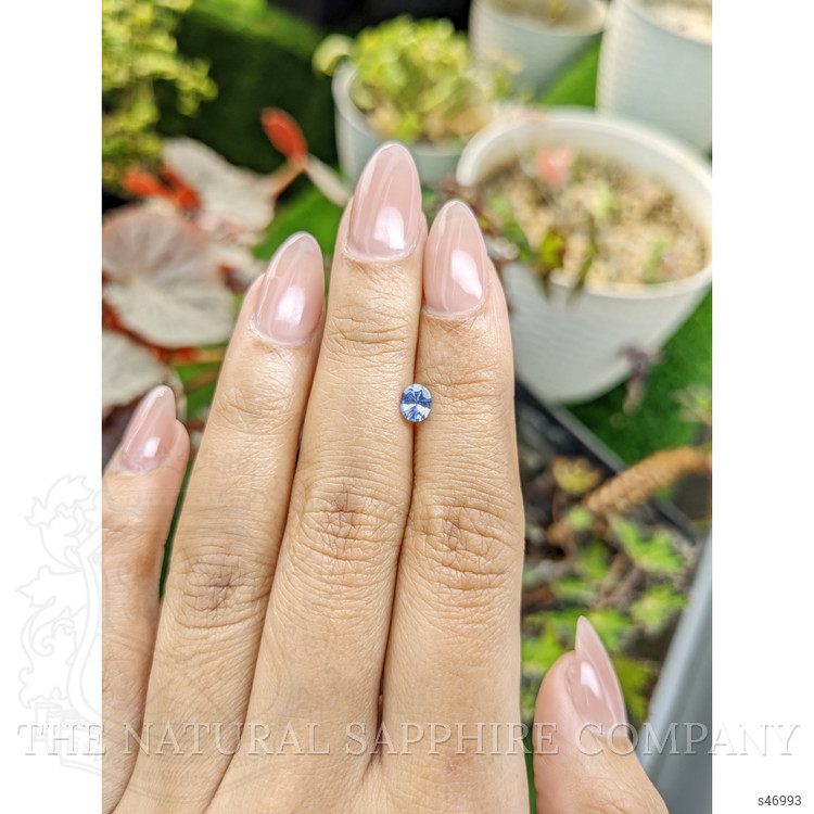 0.41 Ct. Blue Sapphire from Ceylon (Sri Lanka)