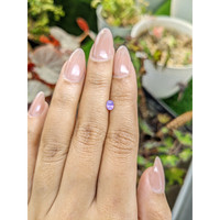 0.44 Ct. Pinkish Purple Sapphire from Ceylon (Sri Lanka) Life Style
