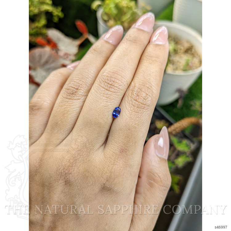 0.35 Ct. Blue Sapphire from Ceylon (Sri Lanka)