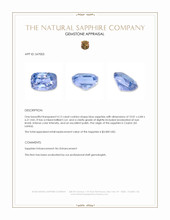 4.12 Ct. Blue Sapphire from Ceylon (Sri Lanka) Appraisal