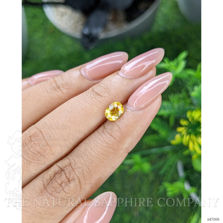 1.05 Ct. Yellow Sapphire from Ceylon (Sri Lanka)