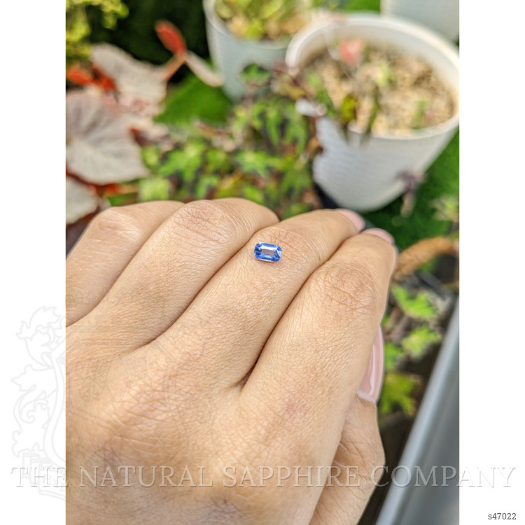 0.46 Ct. Blue Sapphire from Ceylon (Sri Lanka)