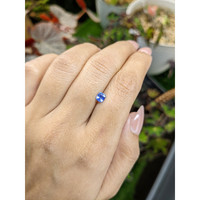 0.53 Ct. Blue Sapphire from Ceylon (Sri Lanka) Life Style