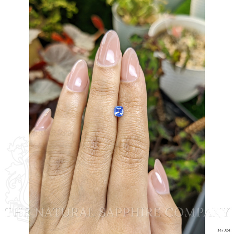 0.53 Ct. Blue Sapphire from Ceylon (Sri Lanka)