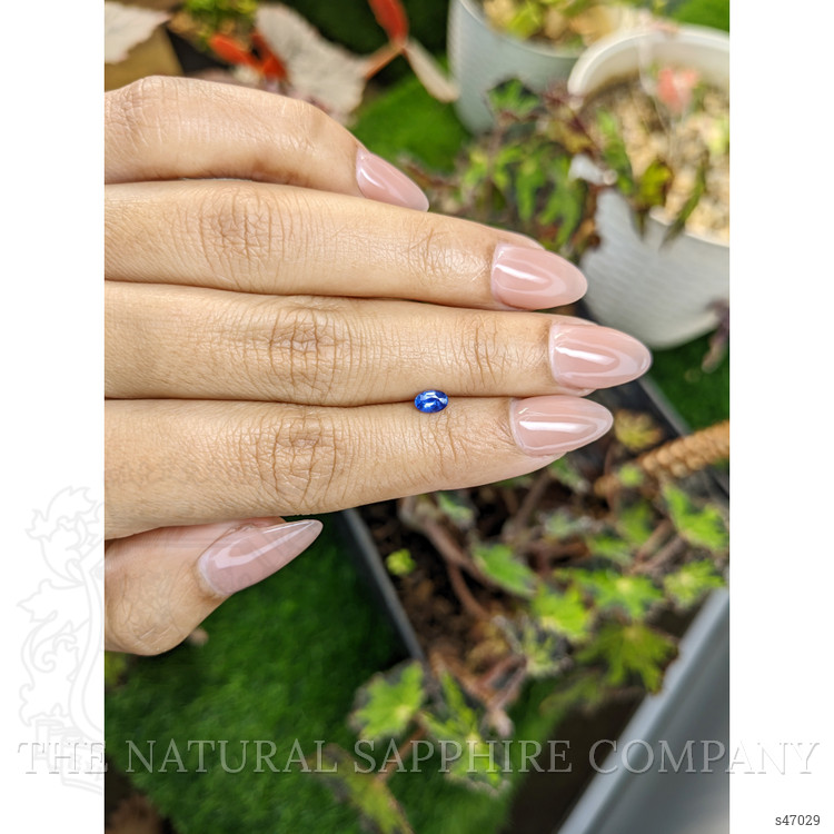 0.29 Ct. Blue Sapphire from Ceylon (Sri Lanka)