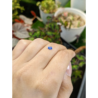 0.29 Ct. Blue Sapphire from Ceylon (Sri Lanka) Life Style