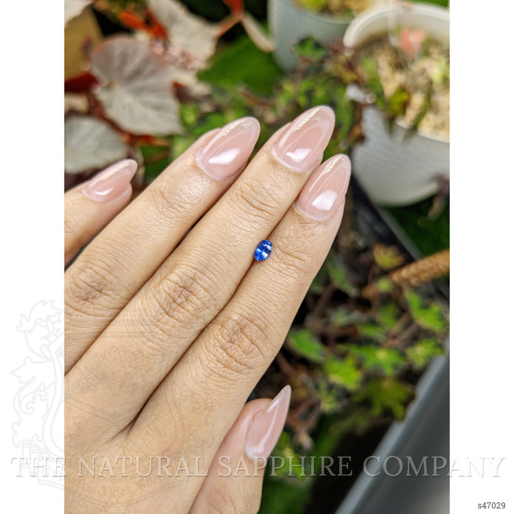 0.29 Ct. Blue Sapphire from Ceylon (Sri Lanka)