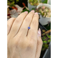 0.42 Ct. Violet Sapphire from Ceylon (Sri Lanka) Life Style