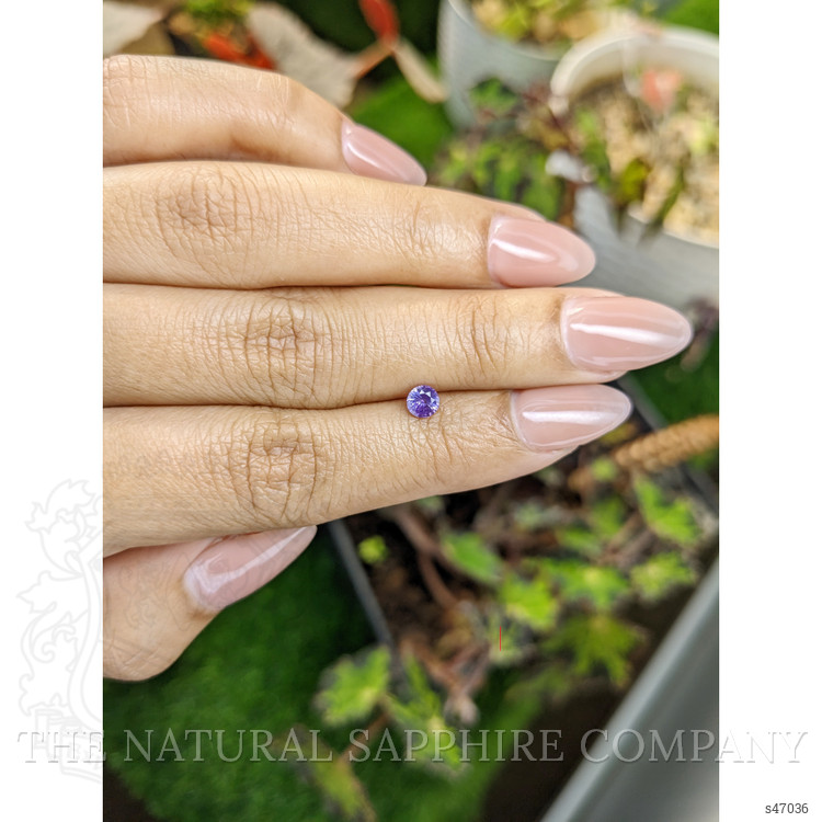 0.38 Ct. Purple Sapphire from Ceylon (Sri Lanka)