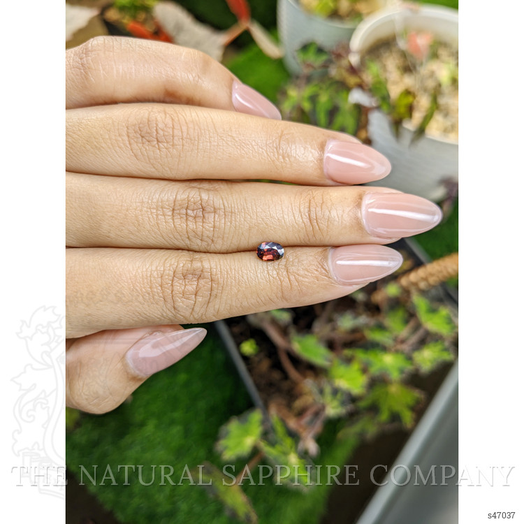 0.64 Ct. Pinkish Brown Sapphire from Ceylon (Sri Lanka)