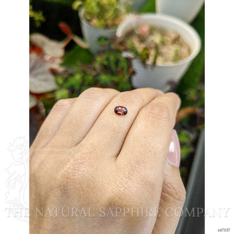 0.64 Ct. Pinkish Brown Sapphire from Ceylon (Sri Lanka)