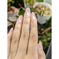 0.34 Ct. Purplish Blue Sapphire from Ceylon (Sri Lanka) Life Style