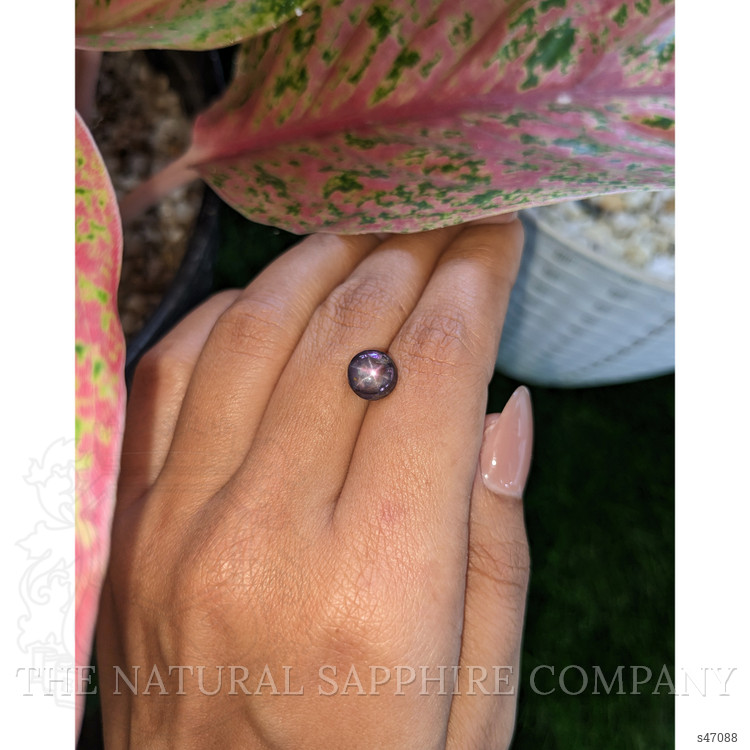 4.23 Ct. Purple Star Sapphire from Ceylon (Sri Lanka)
