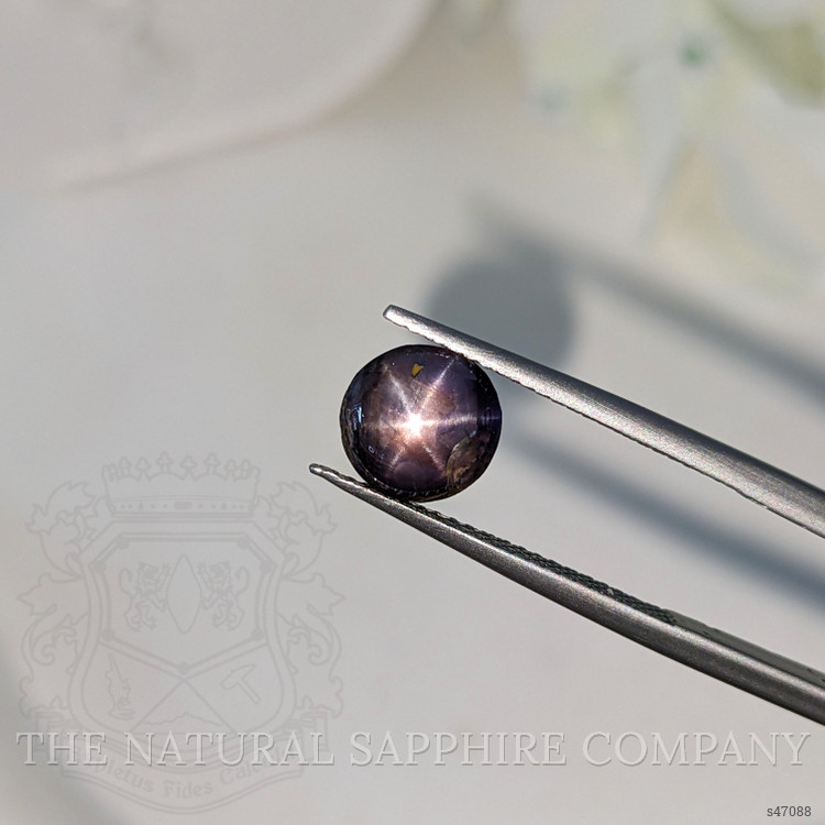 4.23 Ct. Purple Star Sapphire from Ceylon (Sri Lanka)