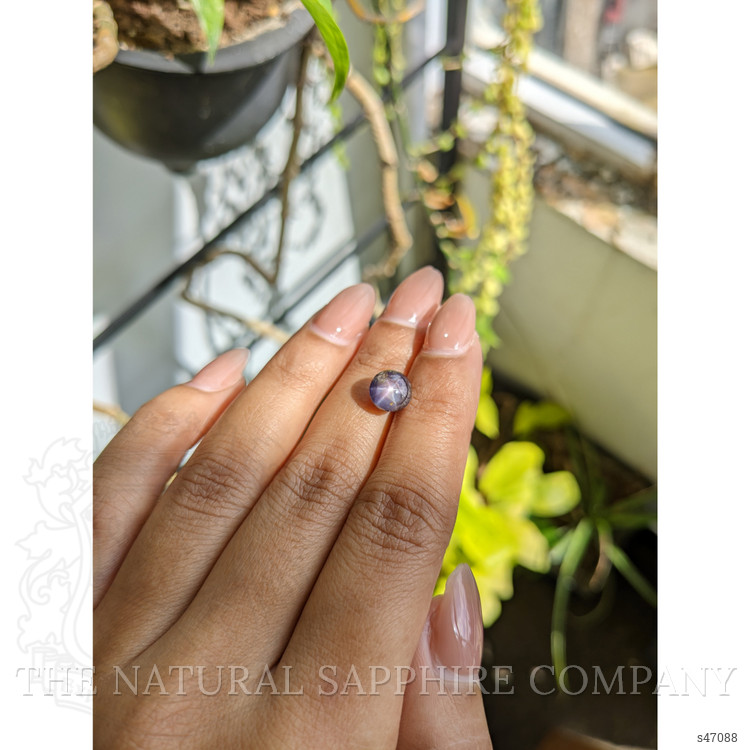 4.23 Ct. Purple Star Sapphire from Ceylon (Sri Lanka)