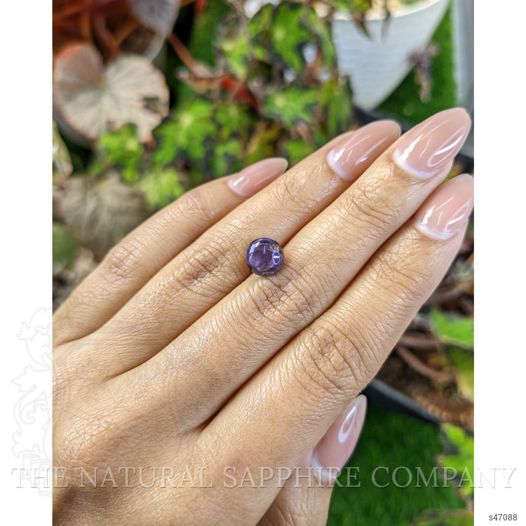 4.23 Ct. Purple Star Sapphire from Ceylon (Sri Lanka)