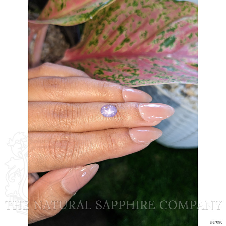1.86 Ct. Pinkish Purple Star Sapphire from Ceylon (Sri Lanka)