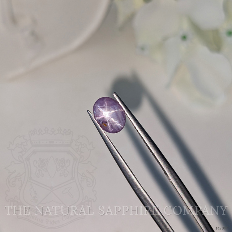 1.86 Ct. Pinkish Purple Star Sapphire from Ceylon (Sri Lanka)