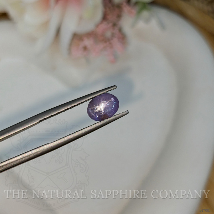 2.05 Ct. Bluish Purple Star Sapphire from Ceylon (Sri Lanka)