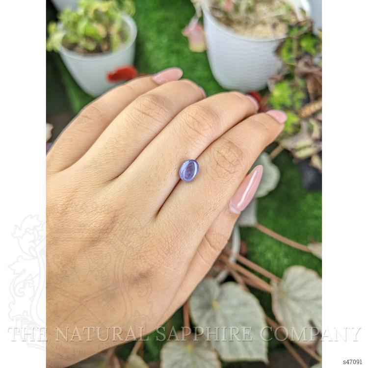 2.05 Ct. Bluish Purple Star Sapphire from Ceylon (Sri Lanka)