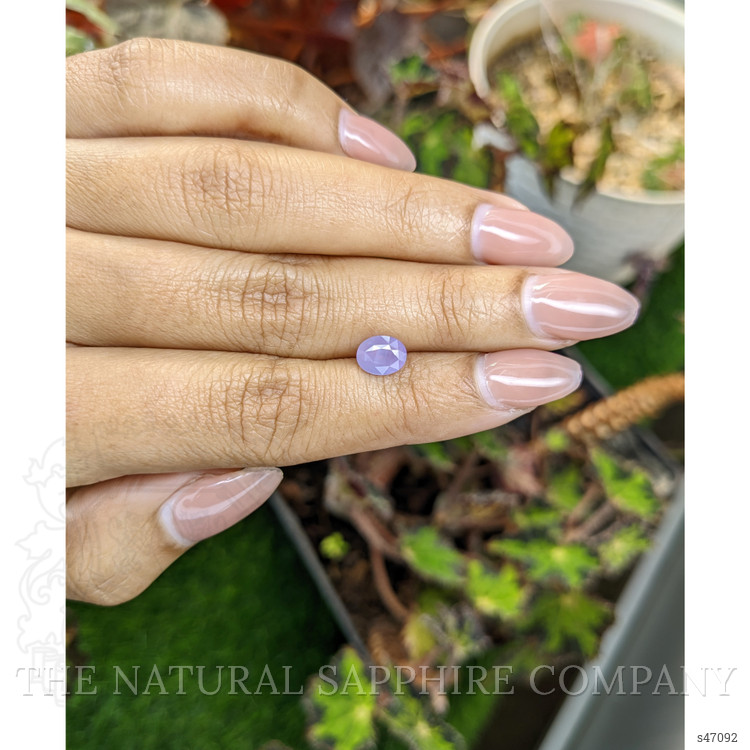 1.47 Ct. Purple Sapphire from Ceylon (Sri Lanka)