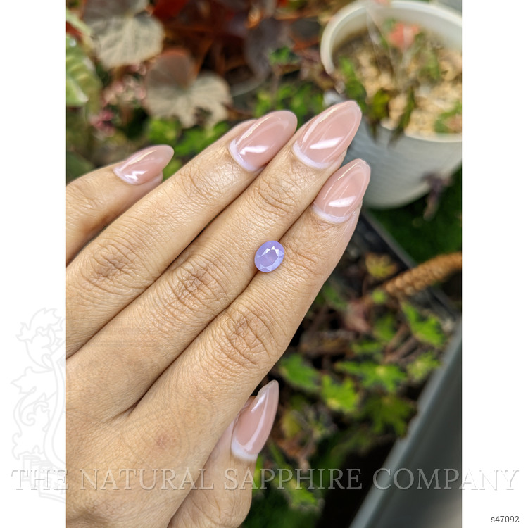 1.47 Ct. Purple Sapphire from Ceylon (Sri Lanka)